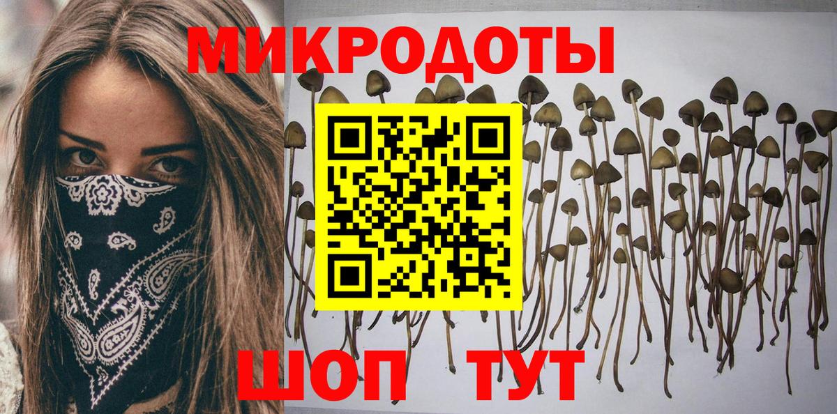 Пенза  Псилоцибиновые грибы MAGIC MUSHROOMS  Псилоцибиновые грибы мухоморы  Вход с VPN 